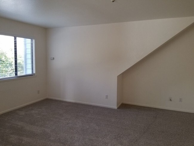 Building Photo - Downstairs Sebastopol Apartment