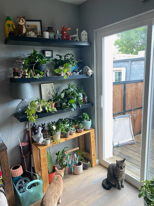 Sliding door to balcony - 513 W Lookout Dr