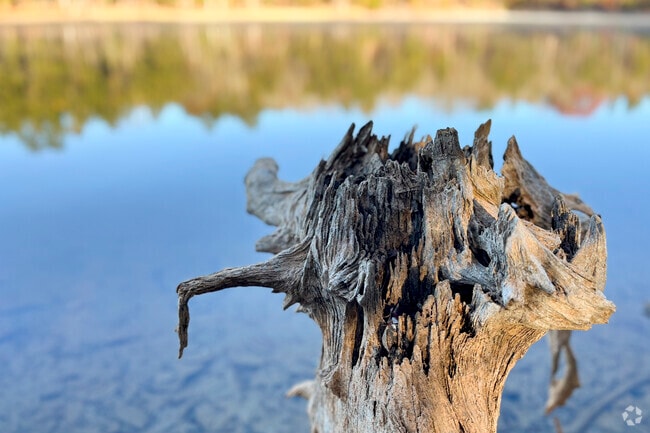 Residents of Northlake are only mere minutes from both Catawba River and Lake Norman.