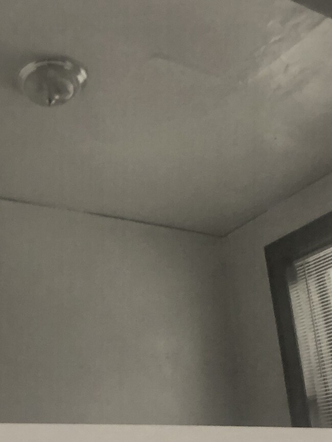 Bedroom ceiling - 4413 John R St