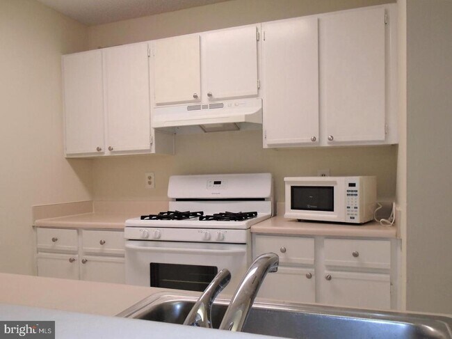 Foto del edificio - 21009 Timber Ridge Terrace