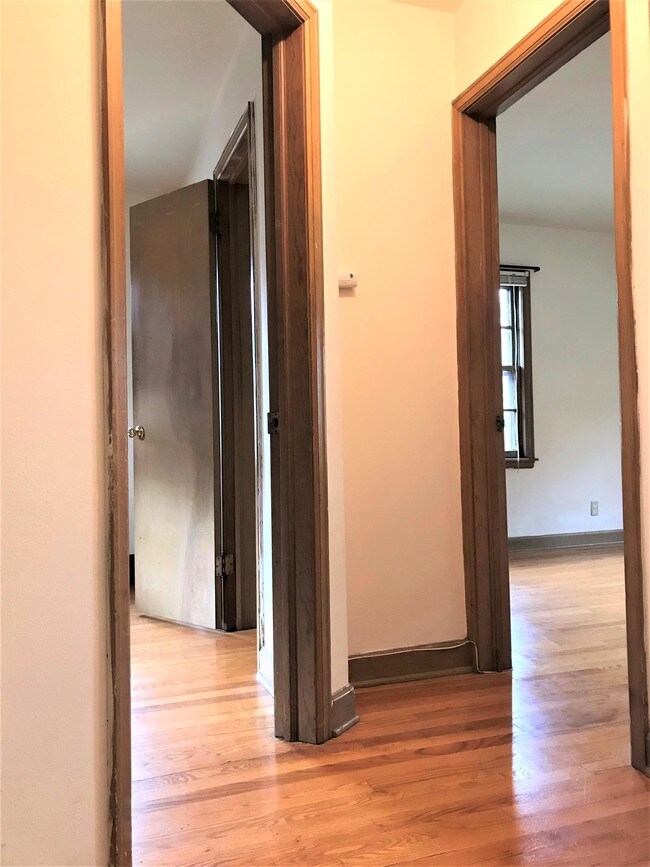 Building Photo - 409 Palomino Ln