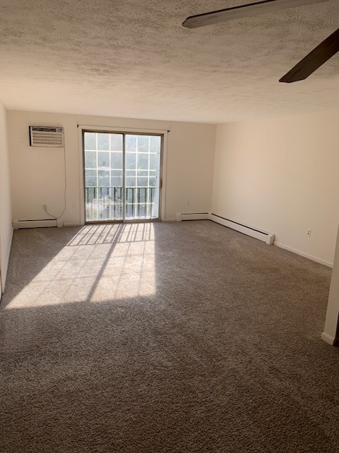 Livingroom - 161 Downey Dr