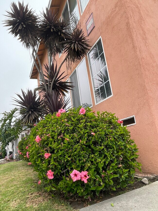 Frente - 628 S Pacific Coast Hwy