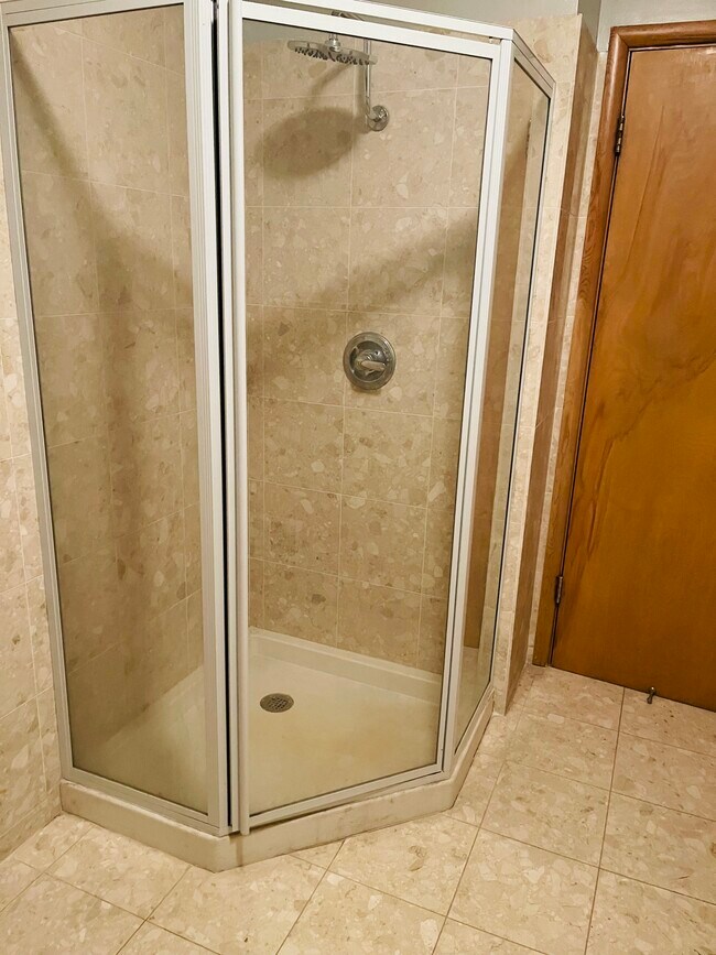 Bathroom shower - 4725 W Fullerton Ave