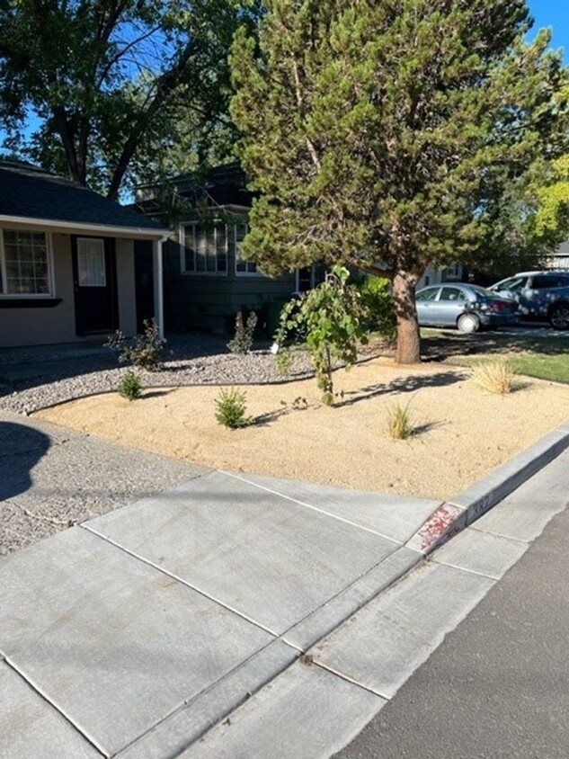 Primary Photo - 11th Street Duplex