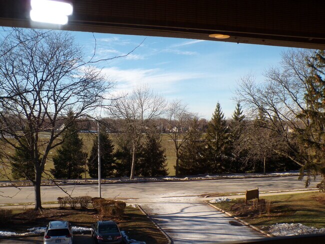 Foto del edificio - 809 S Dwyer Ave