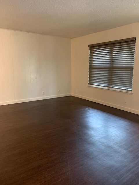 Large Living Room - 2206 Stella St