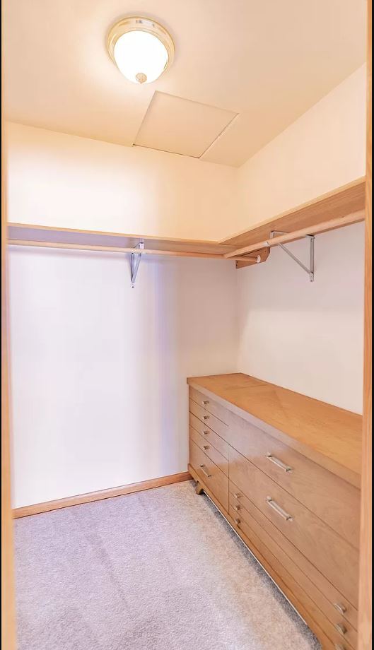 closet - master - 1000 Pleasantview Ave