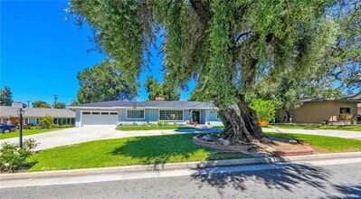 Building Photo - 117 Catherine Park Dr