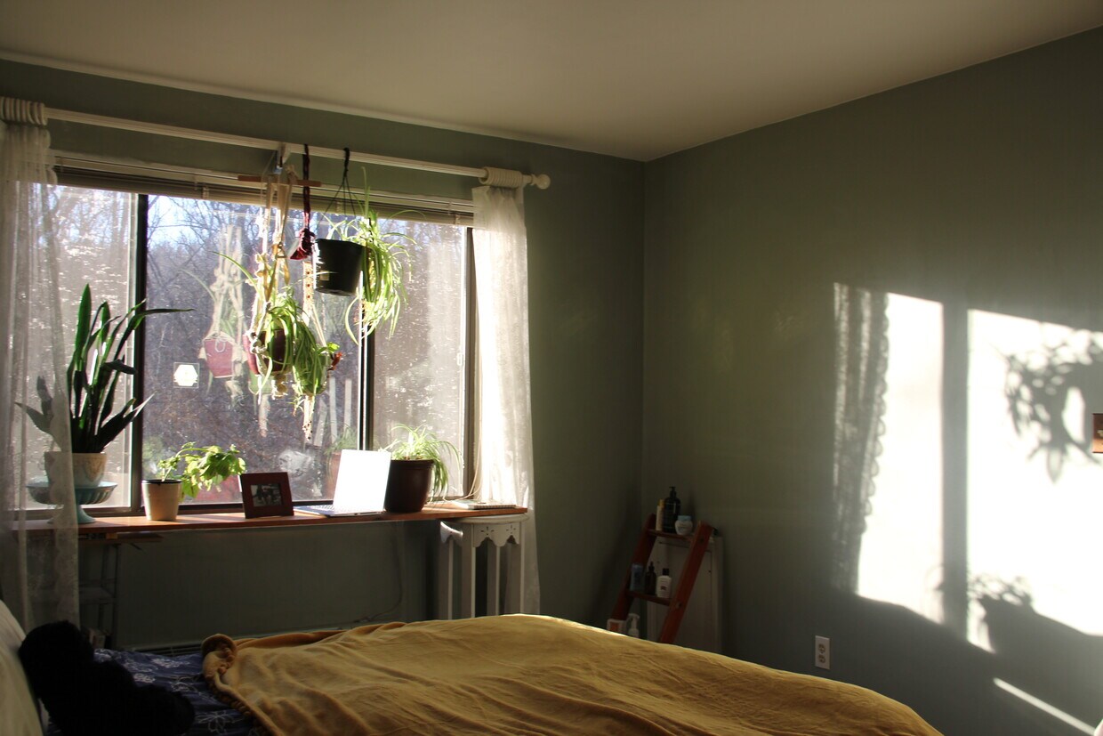 Primary Photo - 4114 Davis Pl NW