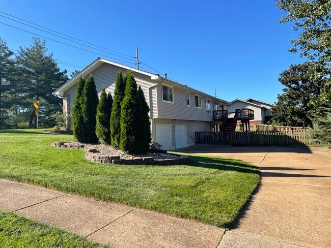 Side View and Driveway! - 736 Henry Ave