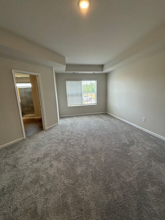 Building Photo - Brand new Townhome in Chestnut Springs