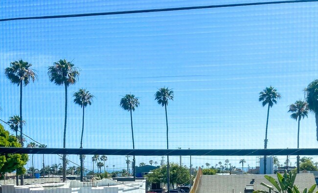 Foto del edificio - Freeman