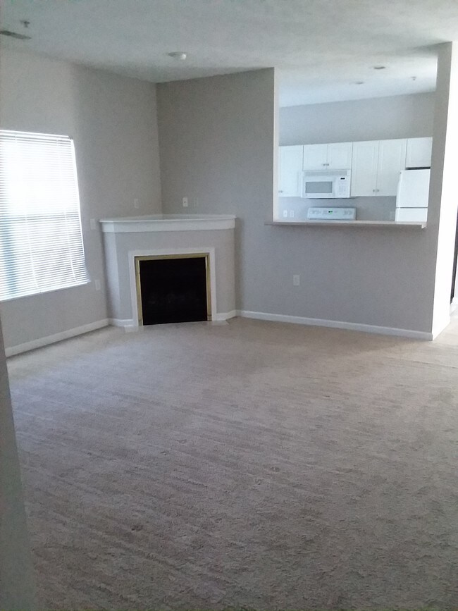 Chimenea de gas - 1002 Stockton Rdg