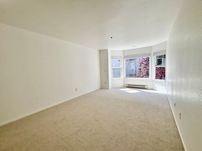 Foto del edificio - Beautiful 1Bd/1Ba in the Heart of Pacific Heights