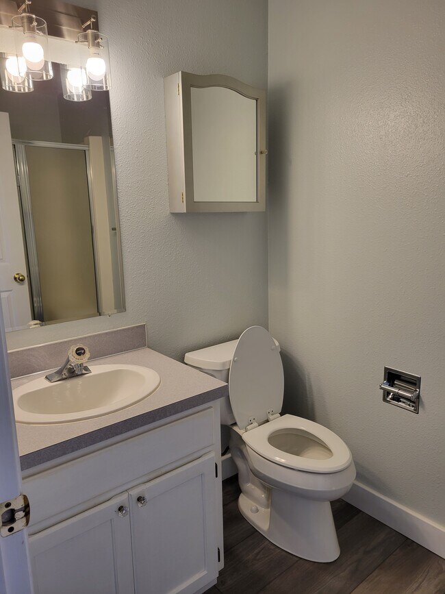 Master bath - 1944 Spicetree Ln SE