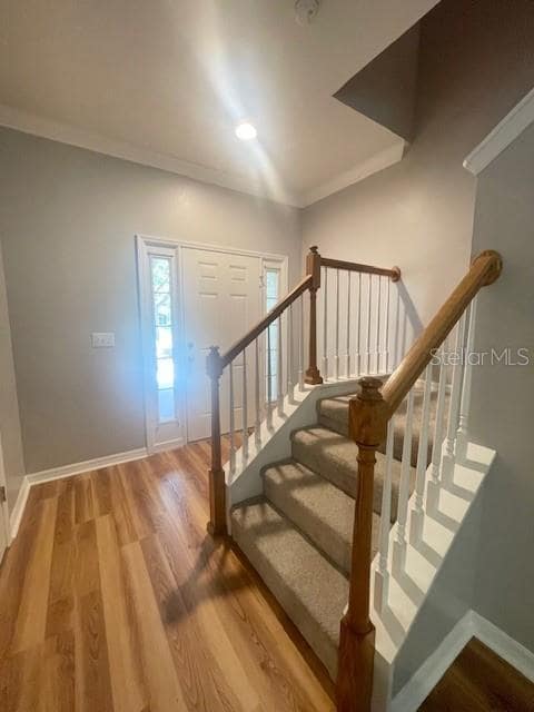 Building Photo - 8153 Stone Leaf Ln
