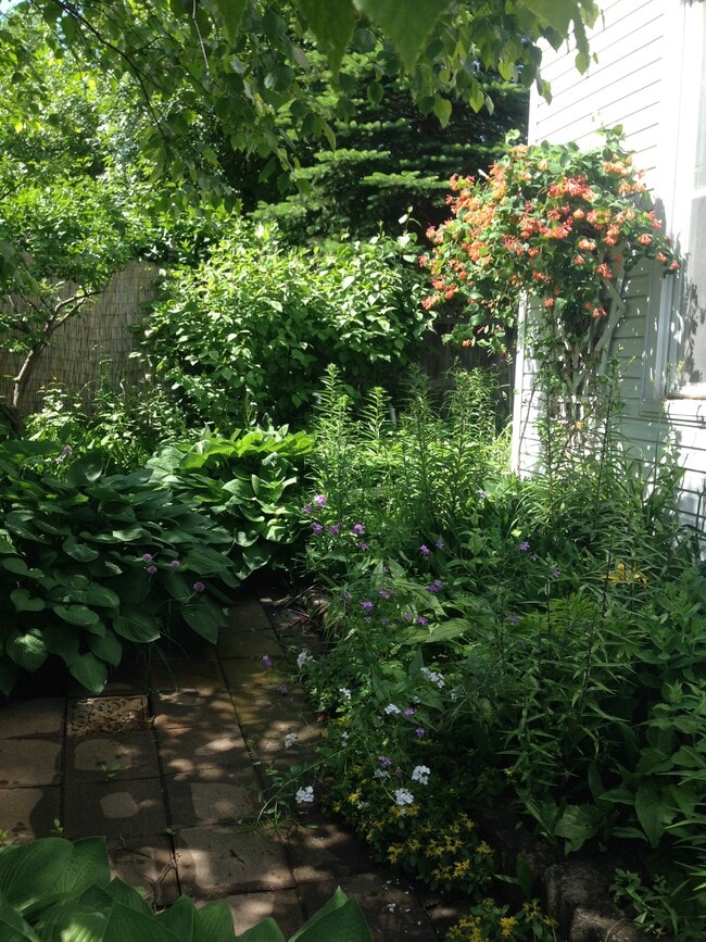 Greenery Outside - 422 N 9th Ave W