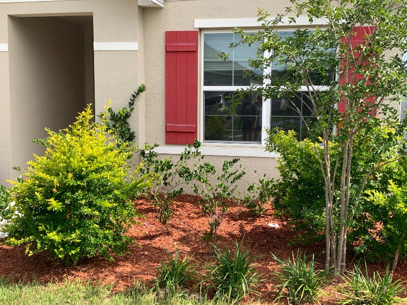 Foto principal - 2187 Pigeon Plum Dr