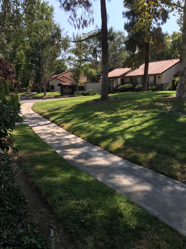 View outside your front door - 4071 Liberty Canyon Rd