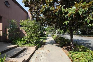 Primary Photo - 128 Cuesta Dr