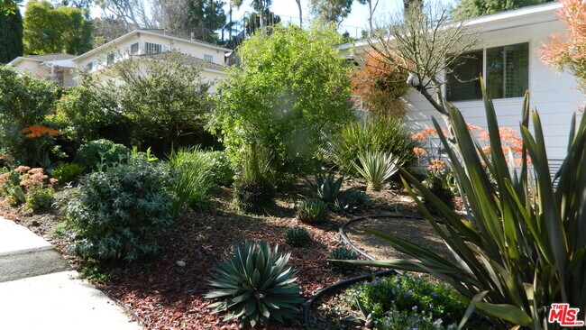 Building Photo - 4627 Presidio Dr