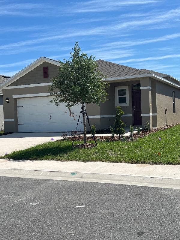 Building Photo - 2642 Angel Falls Dr