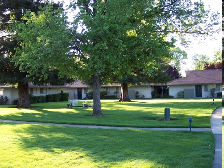 Building Photo - Palo Verde Apartments