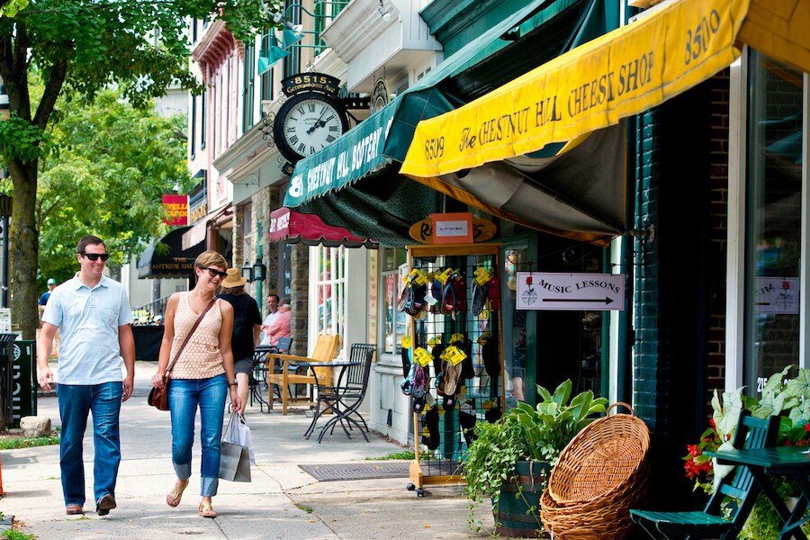 Chestnut Hill - 310 E Evergreen Ave