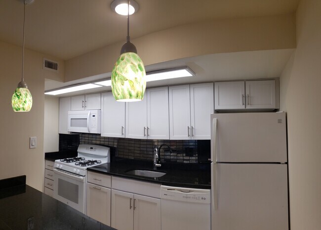 Área de cocina de cocina - 12203 Braxfield Ct