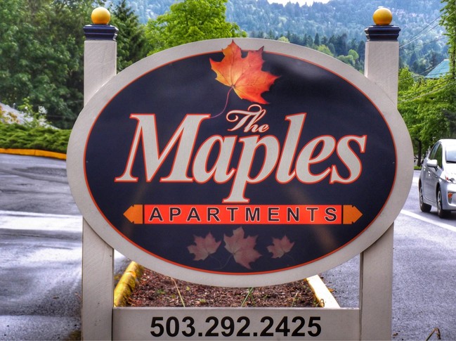 Foto del edificio - The Maples