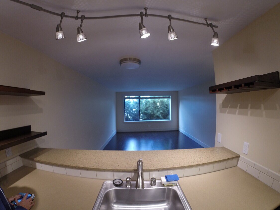 3401 Wallingford Ave N Unit 308, Seattle, WA 98103 Condo for Rent in