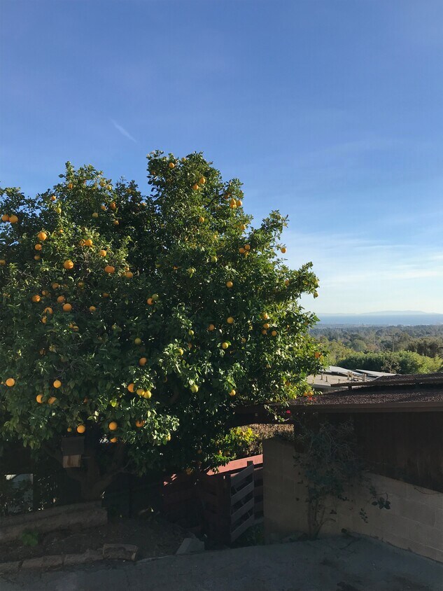 Foto principal - 12421 Deerbrook Ln