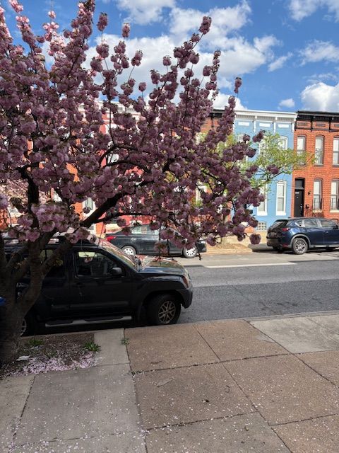 Foto principal - 420 N Collington Ave