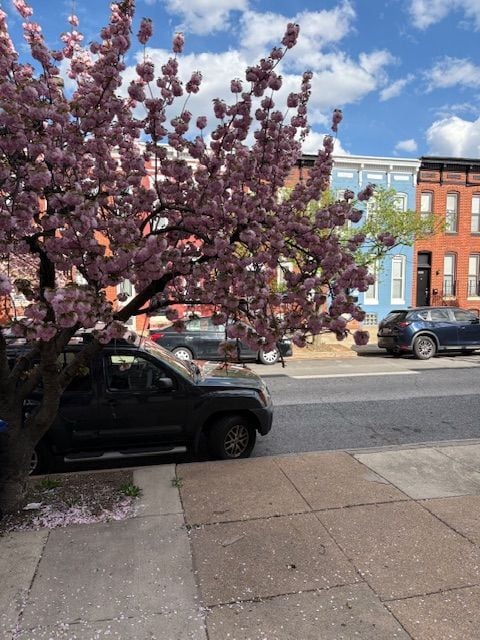 Building Photo - 420 N Collington Ave