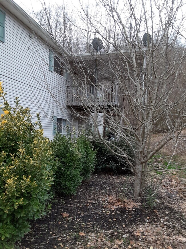 137 Anzie Way Room for Rent in Harriman, TN