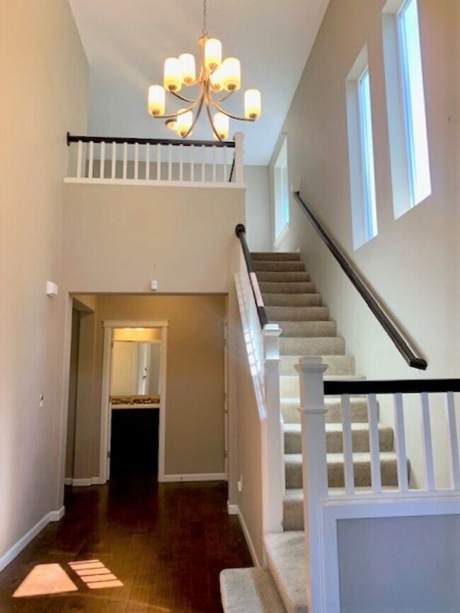 Photo - 3 Bedroom Home in Freestone at Bayside