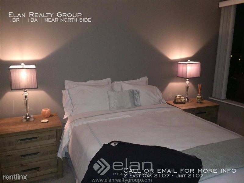 Foto del edificio - 2 East Oak 2107