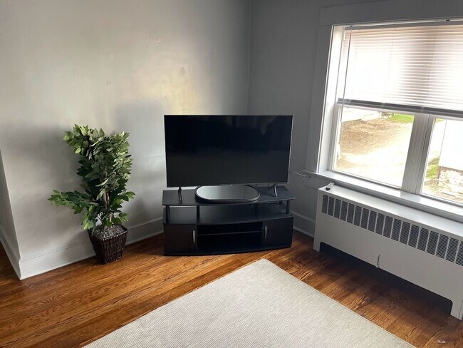 Foto del edificio - Charming 3BR Apt in Johnson City