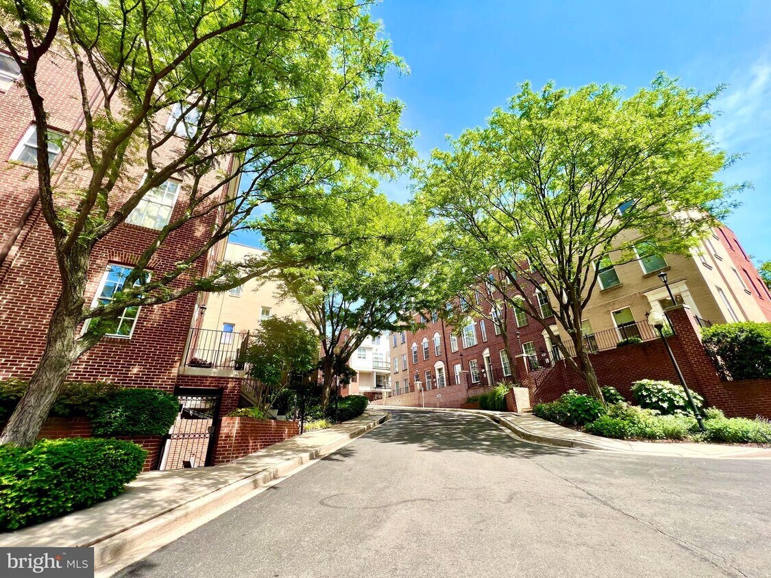 Primary Photo - 1913 Kalorama Pl NW