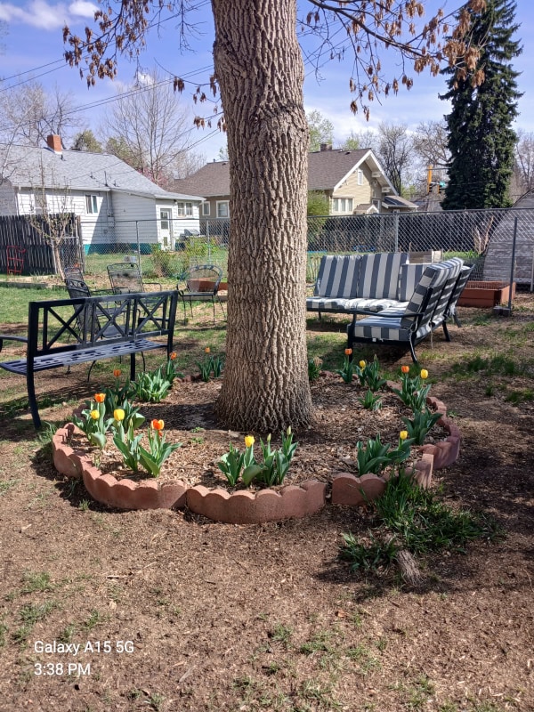 Photo - 909 Collyer St House