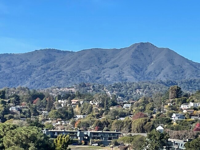 Mt. Tamalpais - 32 Andrew Dr