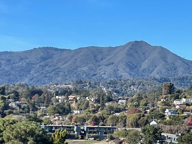 Mt. Tamalpais - 32 Andrew Dr