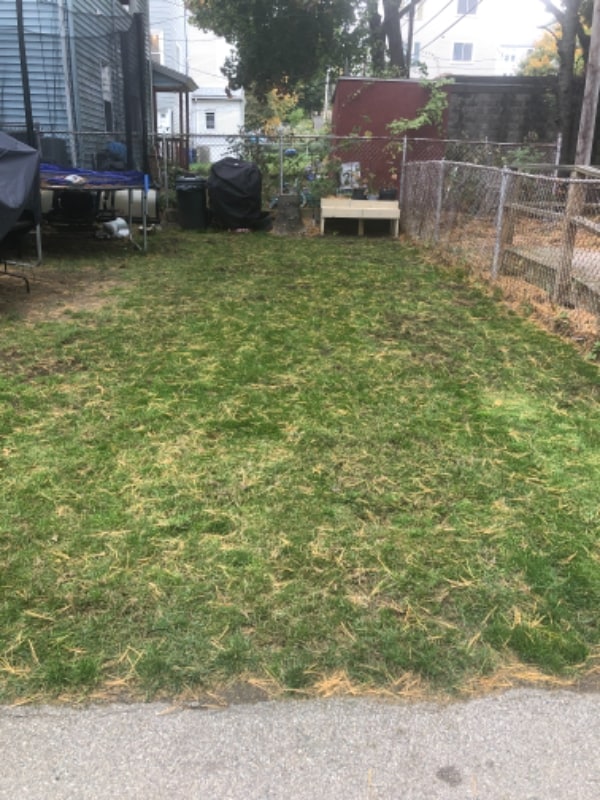 53 Upsala St Unit 1, Worcester, MA 01610 Room for Rent in Worcester