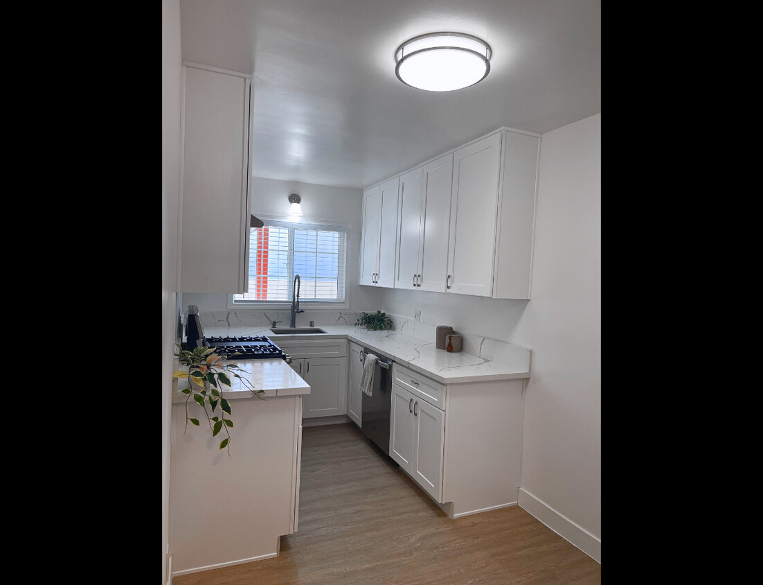 Primary Photo - 1601 N Normandie Ave
