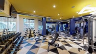 Located at 7524 N Broadway in St. Louis, Missouri, this fitness center is a well-appointed, single-floor facility designed with both function and style in mind. The space immediately draws attention with its striking bold yellow ceiling, deep navy blue accent walls and columns, and a vivid geometric-patterned floor in black, tan, and white — creating a dynamic and energizing atmosphere throughout.

The main workout floor is generously proportioned and houses a comprehensive selection of equipment to support a full-body training regimen. A dedicated free weights area features a full dumbbell rack and adjustable benches, while a power rack station provides space for barbell-based strength training. Multiple cable and resistance machines are positioned throughout the floor to accommodate a wide range of exercises.

Cardio equipment, including treadmills, ellipticals, and stationary cycling bikes, lines the perimeter near large windows that allow natural light to fill the space and offer views of the surrounding neighborhood. A separate studio-style area is equipped with spin bikes, stability balls, and wall-to-wall mirrors, making it ideal for cycling sessions or functional fitness workouts.

Motivational wall murals and mounted flat-screen televisions contribute to the energetic ambiance. Exposed industrial ductwork along the ceiling adds an urban aesthetic that complements the facility's modern design. Recessed lighting ensures the entire space is well-lit and inviting.