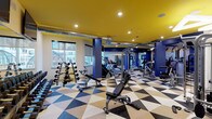 Located at 7524 N Broadway in St. Louis, Missouri, this fitness center is a well-appointed, single-floor facility designed with both function and style in mind. The space immediately draws attention with its striking bold yellow ceiling, deep navy blue accent walls and columns, and a vivid geometric-patterned floor in black, tan, and white — creating a dynamic and energizing atmosphere throughout.

The main workout floor is generously proportioned and houses a comprehensive selection of equipment to support a full-body training regimen. A dedicated free weights area features a full dumbbell rack and adjustable benches, while a power rack station provides space for barbell-based strength training. Multiple cable and resistance machines are positioned throughout the floor to accommodate a wide range of exercises.

Cardio equipment, including treadmills, ellipticals, and stationary cycling bikes, lines the perimeter near large windows that allow natural light to fill the space and offer views of the surrounding neighborhood. A separate studio-style area is equipped with spin bikes, stability balls, and wall-to-wall mirrors, making it ideal for cycling sessions or functional fitness workouts.

Motivational wall murals and mounted flat-screen televisions contribute to the energetic ambiance. Exposed industrial ductwork along the ceiling adds an urban aesthetic that complements the facility's modern design. Recessed lighting ensures the entire space is well-lit and inviting.