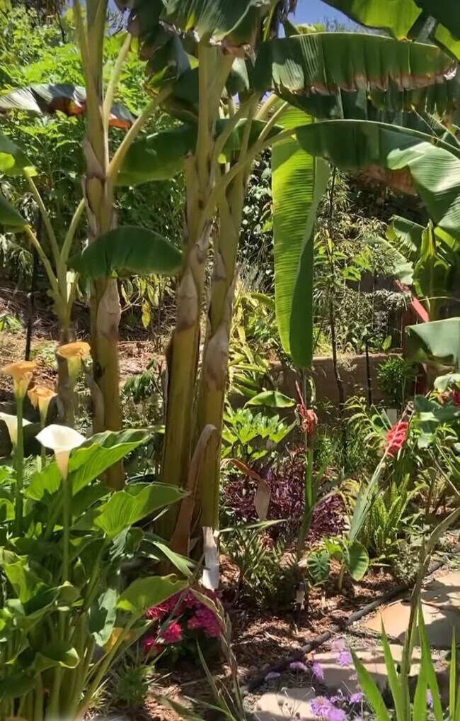 Foto del edificio - 395 Plaza Calimar