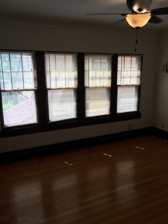 3304 N Newhall St, Milwaukee, WI 53211 House Rental in Milwaukee, WI